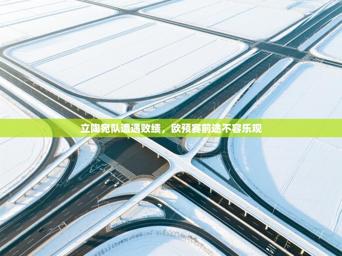 立陶宛队遭遇败绩，欧预赛前途不容乐观  第2张