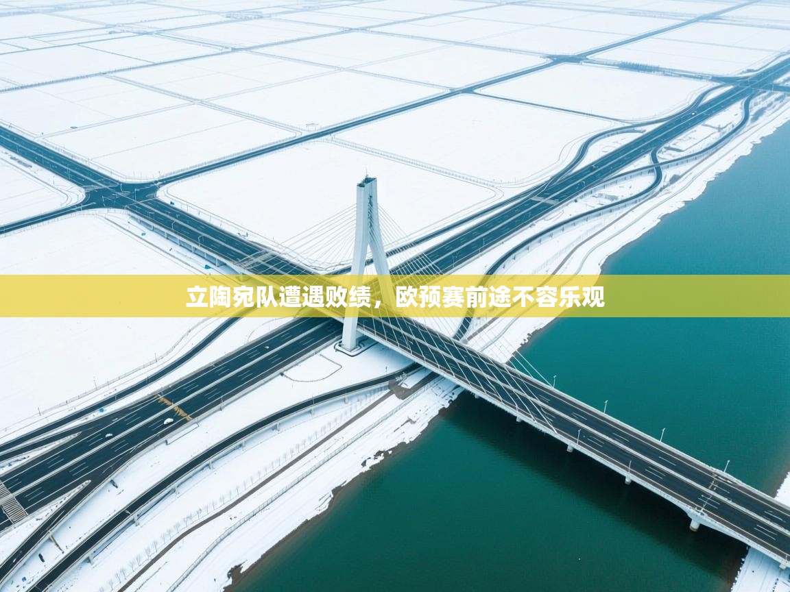 立陶宛队遭遇败绩，欧预赛前途不容乐观  第1张