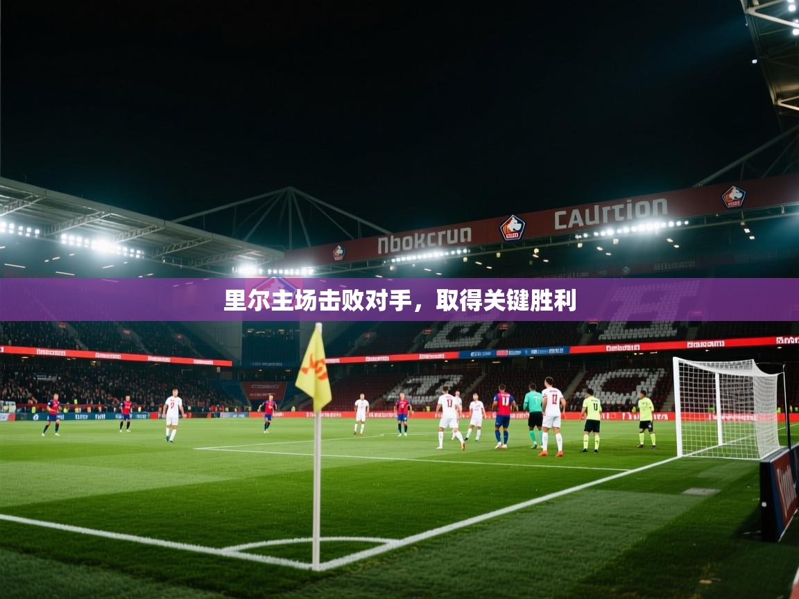 里尔主场击败对手，取得关键胜利  第1张
