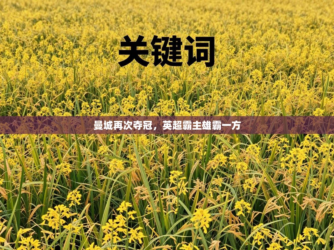 曼城再次夺冠，英超霸主雄霸一方  第1张