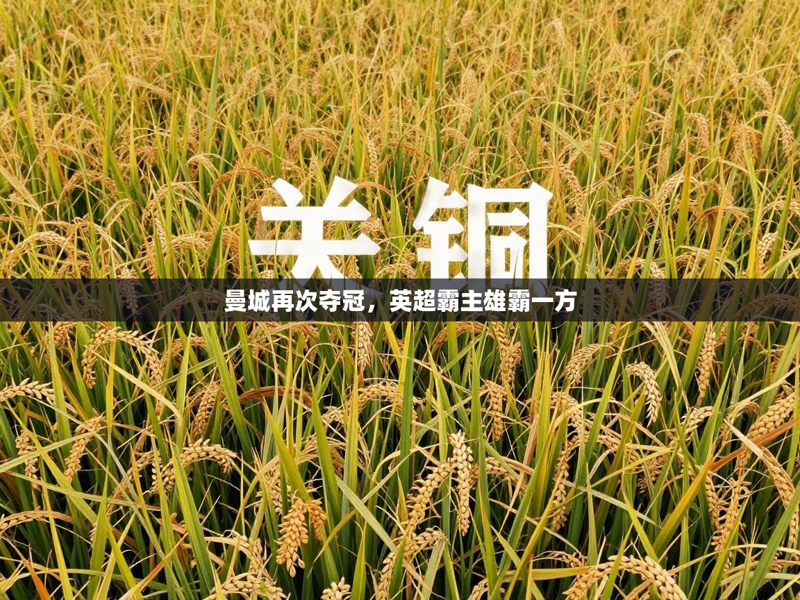 曼城再次夺冠，英超霸主雄霸一方  第2张