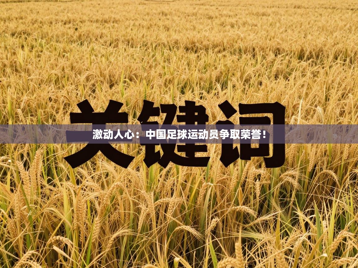 激动人心：中国足球运动员争取荣誉！  第2张