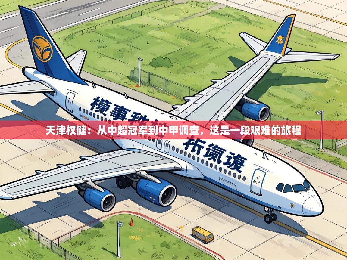 天津权健：从中超冠军到中甲调查，这是一段艰难的旅程  第2张